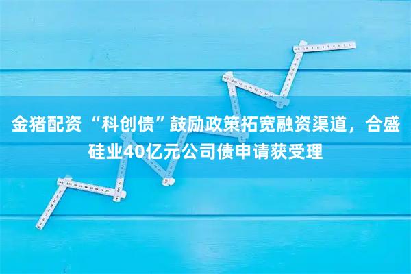 金猪配资 “科创债”鼓励政策拓宽融资渠道,合盛硅业40亿元公司债申请获受理