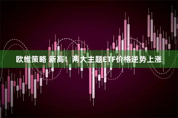 欧维策略 新高!两大主题ETF价格逆势上涨