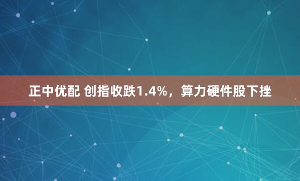 正中优配 创指收跌1.4%,算力硬件股下挫