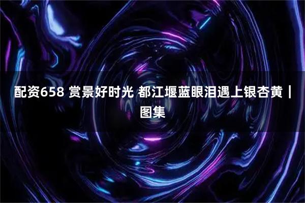 配资658 赏景好时光 都江堰蓝眼泪遇上银杏黄｜图集