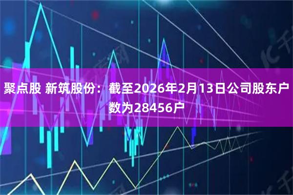 聚点股 新筑股份：截至2026年2月13日公司股东户数为28456户